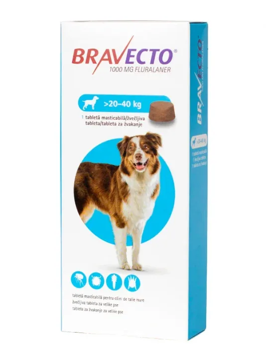 Bravecto 1000 mg (20-40 kg) - 1 tabletă masticabilă