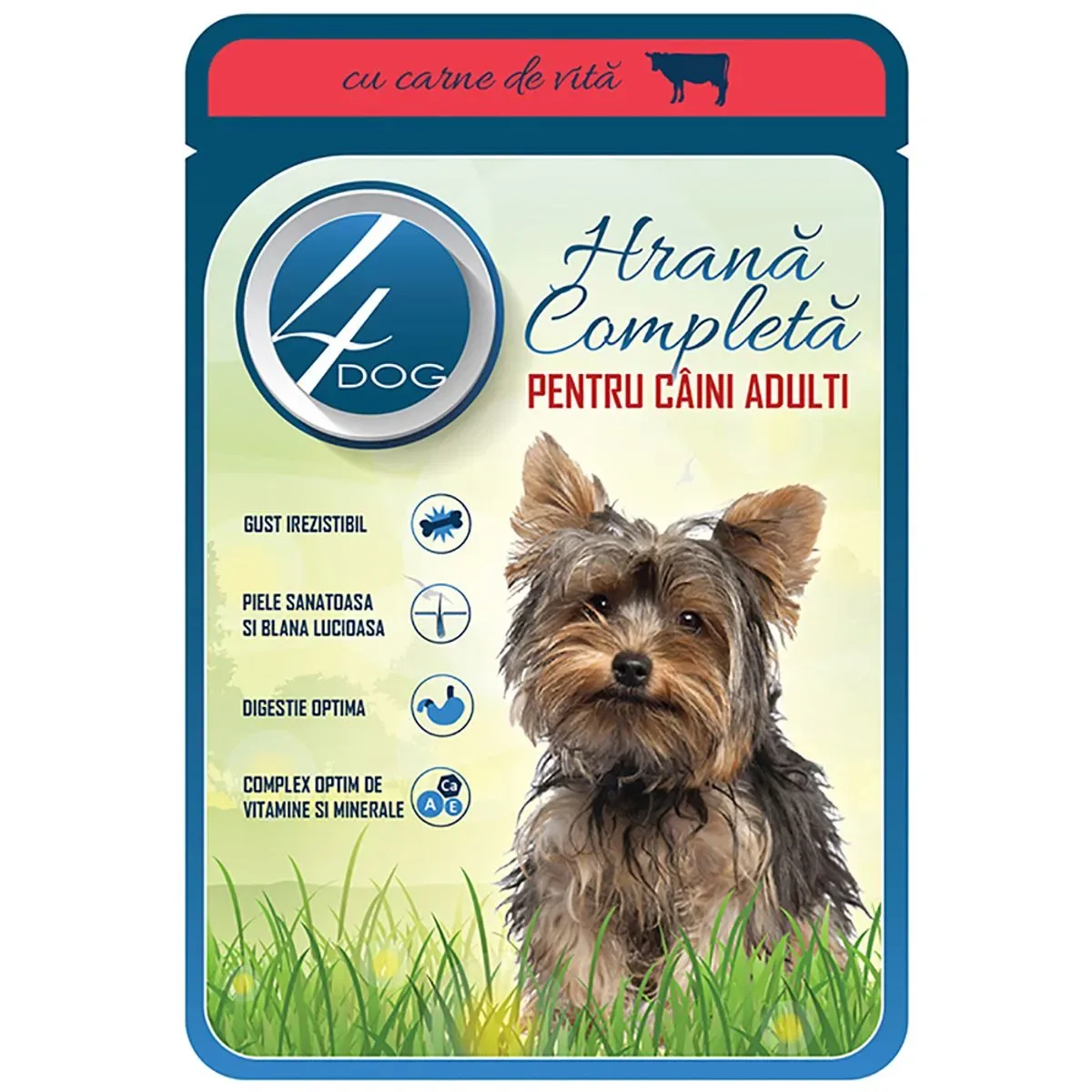 Hrana umeda pentru caini adulti 4Dog cu carne de vita in sos, 100g